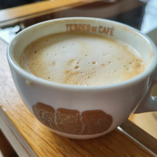 🫧 Finir l'année en plongeant dans une mousse...de lait 😋...

#coffeelover #coffee #coffeeaddict #terresdecafe